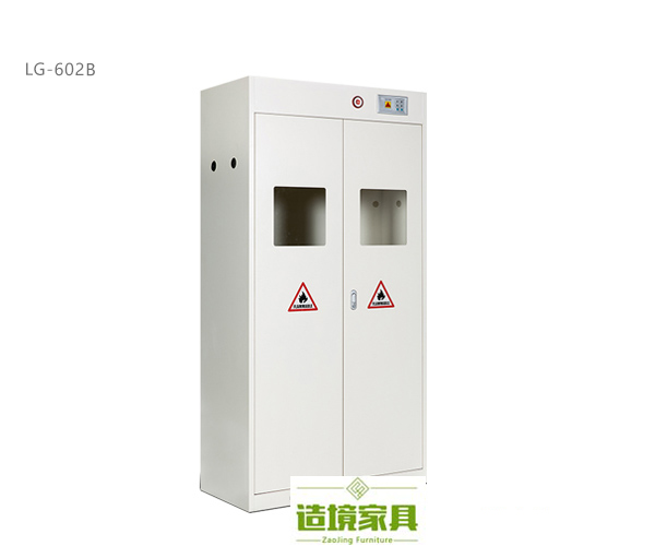 武汉钢瓶柜LG-602B双瓶，武汉防爆钢瓶柜LG-602B灰白，武汉实验室设备